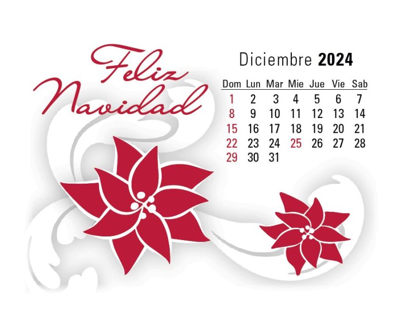 Triumph® Calendars Press-N-Stick Spanish Calendar - 2